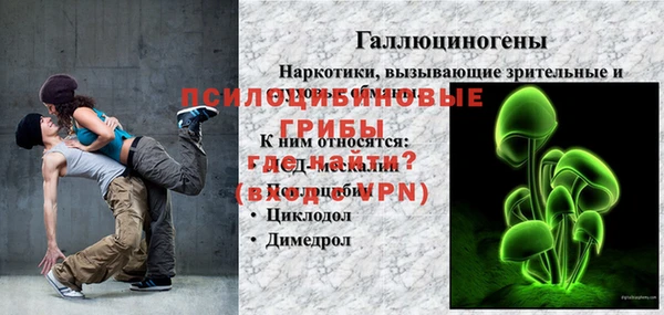 ешки Алексин