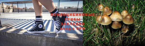 ешки Алексин
