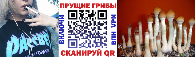 мега ONION  Татарск  Галлюциногенные грибы MAGIC MUSHROOMS 