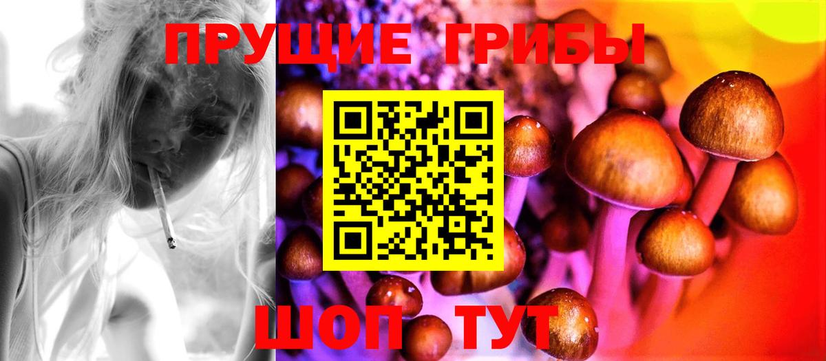 Татарск  Галлюциногенные грибы Magic Shrooms  Вход с VPN 