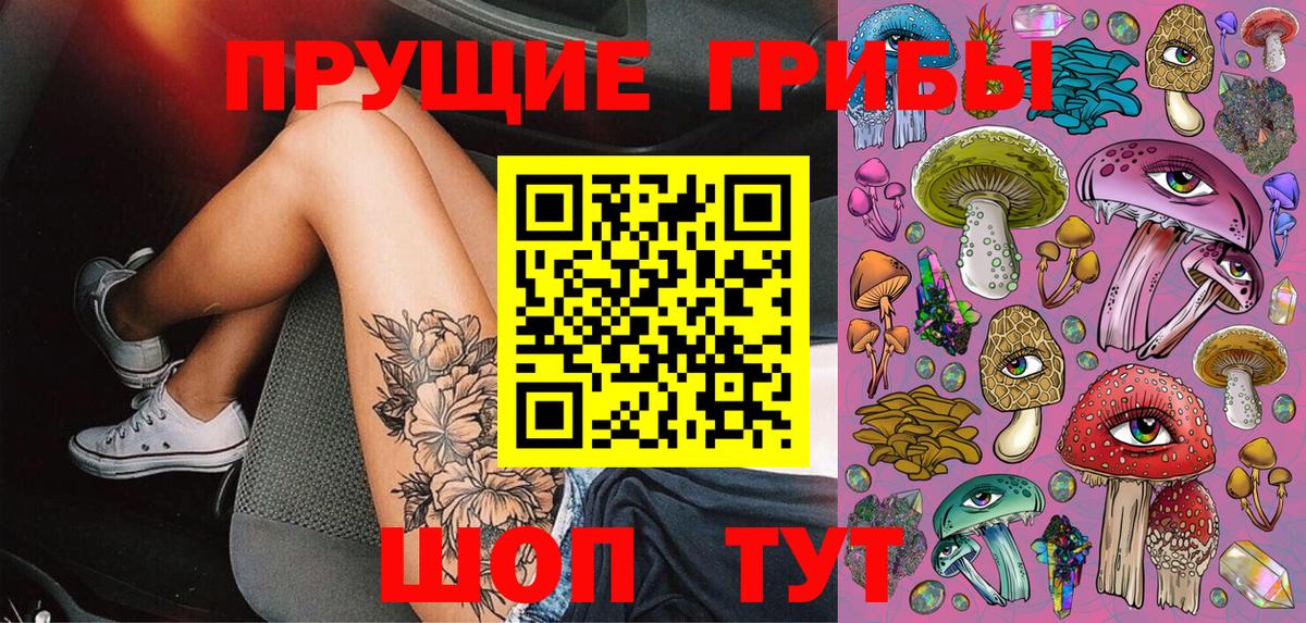 Галлюциногенные грибы Psilocybine cubensis Татарск